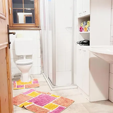 Apartment In Near Kitzski Lift